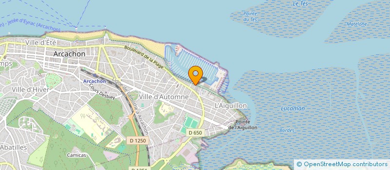 localisation de l'entreprise MADAME BRIGITTE MORIZET  ARCACHON