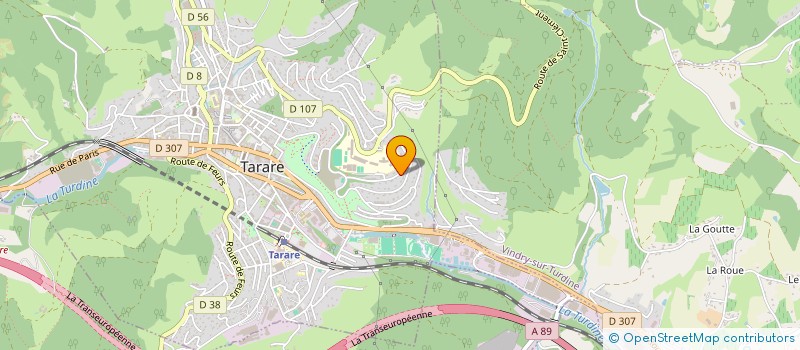 localisation de l'entreprise MADAME BRIGITTE NICOD  TARARE