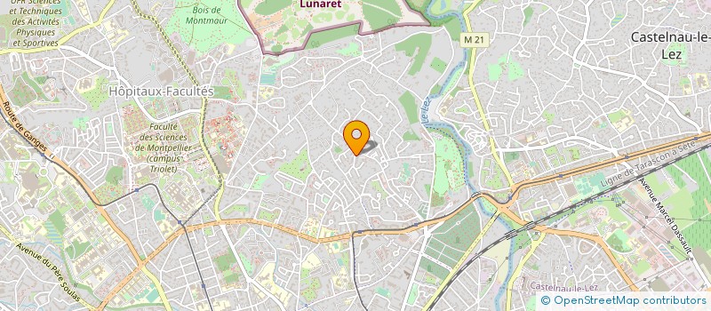 localisation de l'entreprise MADAME BRIGITTE NOLD à MONTPELLIER