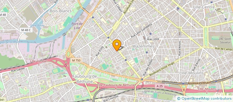 localisation de l'entreprise MADAME BRIGITTE ODENT à LILLE