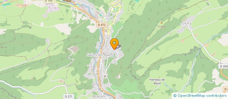 localisation de l'entreprise MADAME BRIGITTE PETETIN  SALINS-LES-BAINS