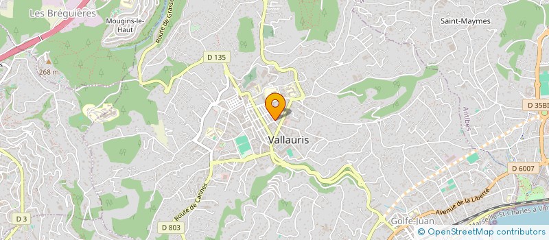 localisation de l'entreprise MADAME BRIGITTE ROFANI  VALLAURIS