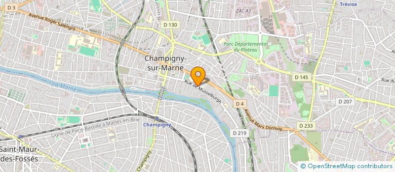 localisation de l'entreprise MADAME BRIGITTE ROUALDES à CHAMPIGNY-SUR-MARNE