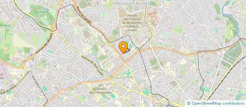 localisation de l'entreprise MADAME BRIGITTE VERNET à MONTPELLIER