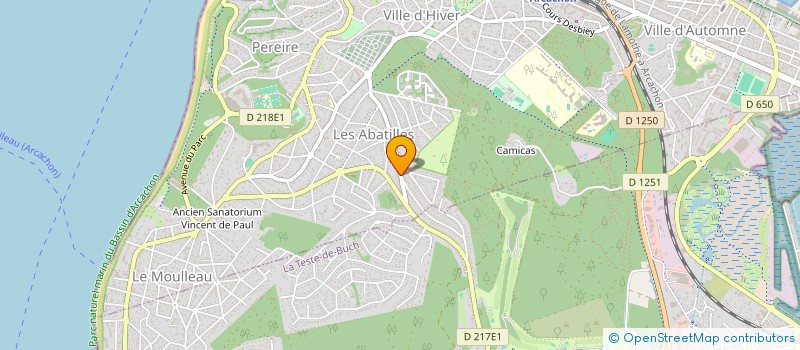 localisation de l'entreprise MADAME BRIGITTE VIDAL  ARCACHON