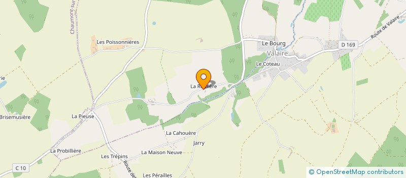 localisation de l'entreprise MADAME BRITANIE RENARD  LE CONTROIS-EN-SOLOGNE