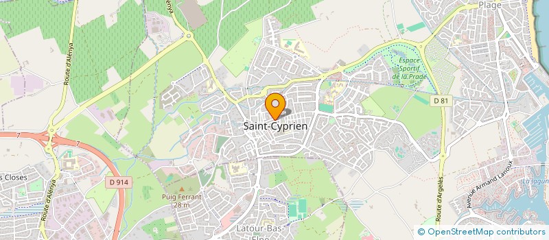 localisation de l'entreprise MADAME CAMELIA HANARIU  SAINT-CYPRIEN