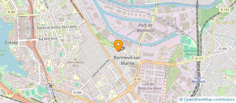 localisation de l'entreprise MADAME CAMELIA MINCULEASA  BONNEUIL-SUR-MARNE