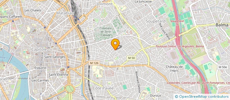 localisation de l'entreprise MADAME CAMILLE ABRAHAM  TOULOUSE