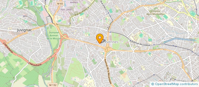 localisation de l'entreprise MADAME CAMILLE AIME à MONTPELLIER
