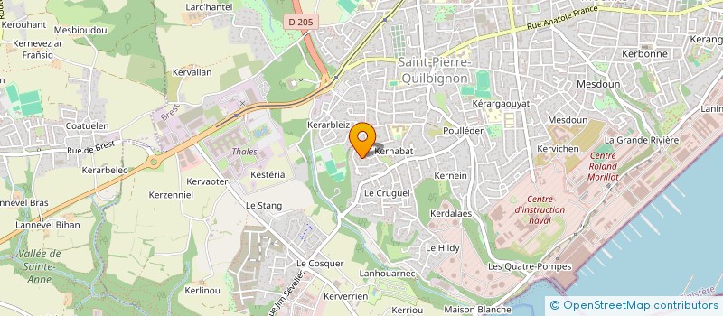 localisation de l'entreprise MADAME CAMILLE ARZUR  BREST