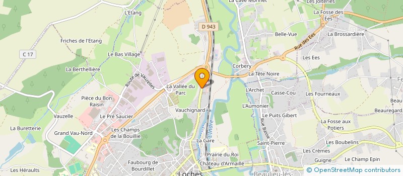 localisation de l'entreprise MADAME CAMILLE BADILLER  LOCHES