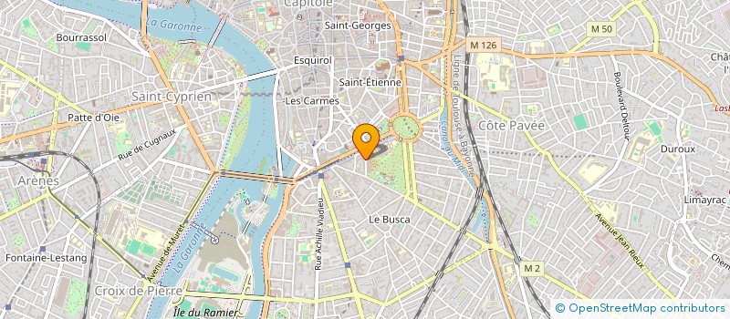 localisation de l'entreprise MADAME CAMILLE BALME  TOULOUSE