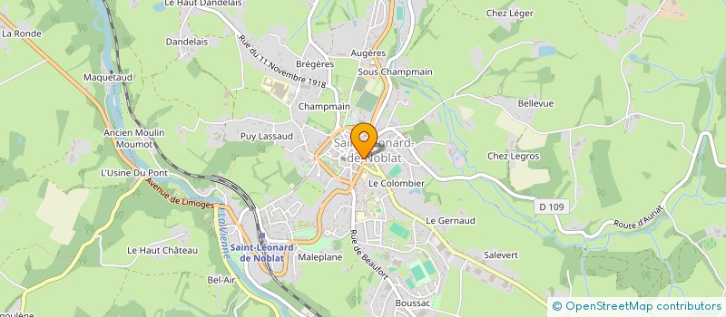 localisation de l'entreprise MADAME CAMILLE BALOT à SAINT-LEONARD-DE-NOBLAT