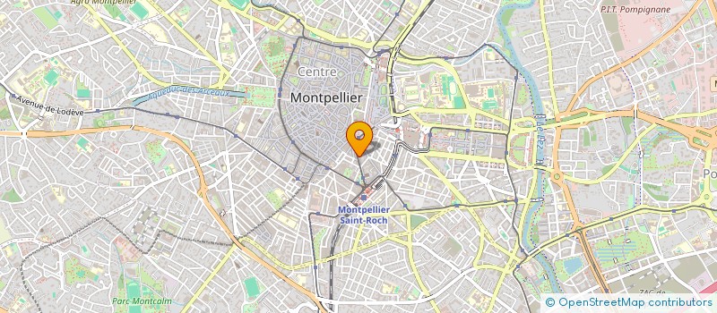 localisation de l'entreprise MADAME CAMILLE BARNEOUD à MONTPELLIER