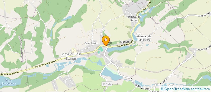 localisation de l'entreprise MADAME CAMILLE BIRY  MEYRIEU-LES-ETANGS
