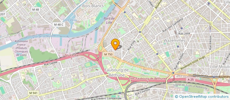 localisation de l'entreprise MADAME CAMILLE BORE à LILLE