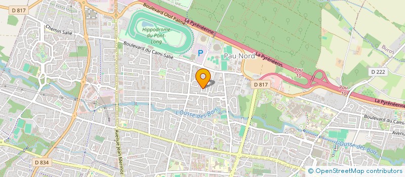 localisation de l'entreprise MADAME CAMILLE BOURGOGNON à PAU