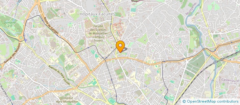 localisation de l'entreprise MADAME CAMILLE BOUTELOUP  MONTPELLIER