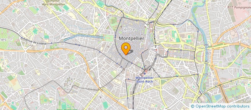 localisation de l'entreprise MADAME CAMILLE BRICOD à MONTPELLIER