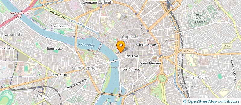 localisation de l'entreprise MADAME CAMILLE BRIDOUX à TOULOUSE