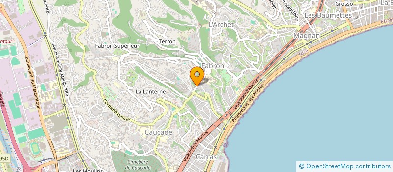 localisation de l'entreprise MADAME CAMILLE CAJGFINGER  NICE