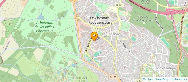 localisation de l'entreprise MADAME CAMILLE CANFIN  LE CHESNAY-ROCQUENCOURT