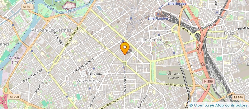 localisation de l'entreprise MADAME CAMILLE CERF  LILLE