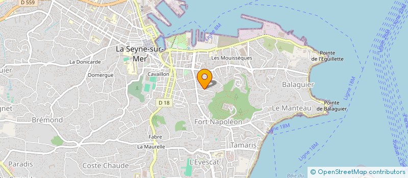 localisation de l'entreprise MADAME CAMILLE CESCA  LA SEYNE-SUR-MER