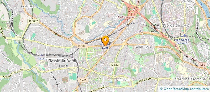 localisation de l'entreprise MADAME CAMILLE CHAILLOU  TASSIN-LA-DEMI-LUNE