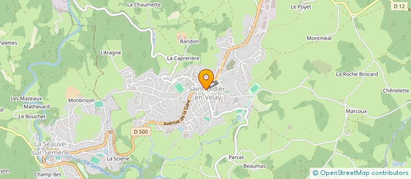 localisation de l'entreprise MADAME CAMILLE CHAPELON  SAINT-DIDIER-EN-VELAY