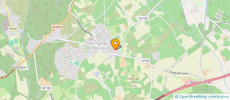 localisation de l'entreprise MADAME CAMILLE CHAPON  SAINT-GENIES-DES-MOURGUES