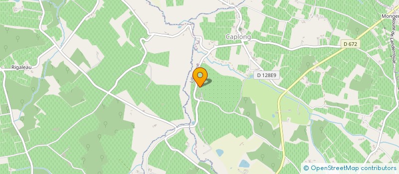localisation de l'entreprise MADAME CAMILLE CHAVAGNAC  CAPLONG
