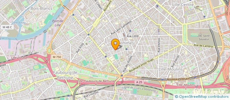 localisation de l'entreprise MADAME CAMILLE CHOQUEL à LILLE