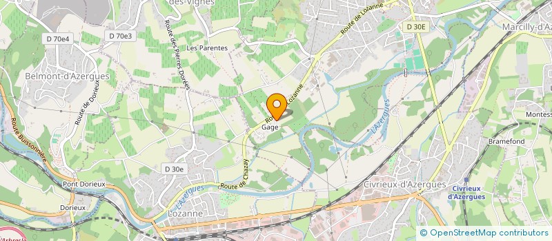 localisation de l'entreprise MADAME CAMILLE COUGOUILLE  CHAZAY-D'AZERGUES