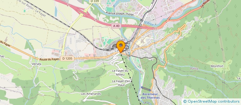 localisation de l'entreprise MADAME CAMILLE DELHAYE  SAINT-GERVAIS-LES-BAINS