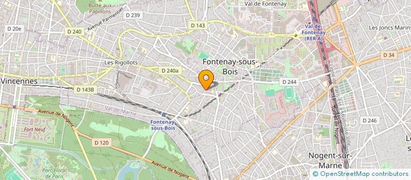 localisation de l'entreprise MADAME CAMILLE DELMAS à FONTENAY-SOUS-BOIS