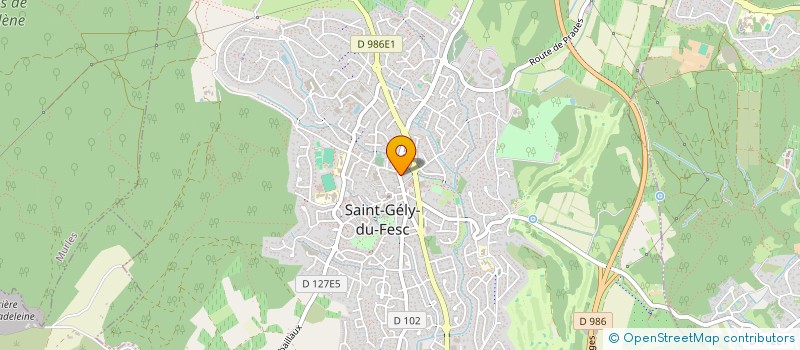 localisation de l'entreprise MADAME CAMILLE DEMAILLE  SAINT-GELY-DU-FESC