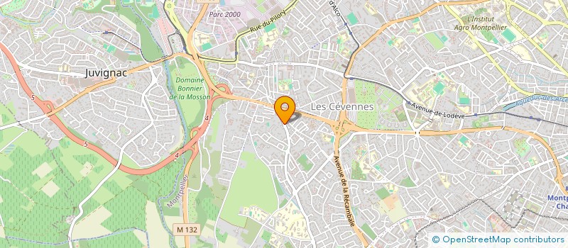 localisation de l'entreprise MADAME CAMILLE DESPINOY à MONTPELLIER