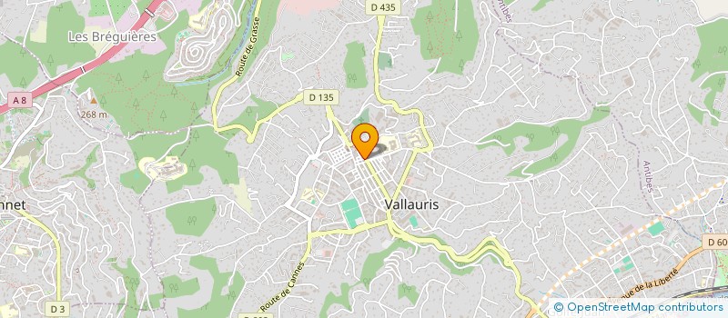 localisation de l'entreprise MADAME CAMILLE DETRY à VALLAURIS