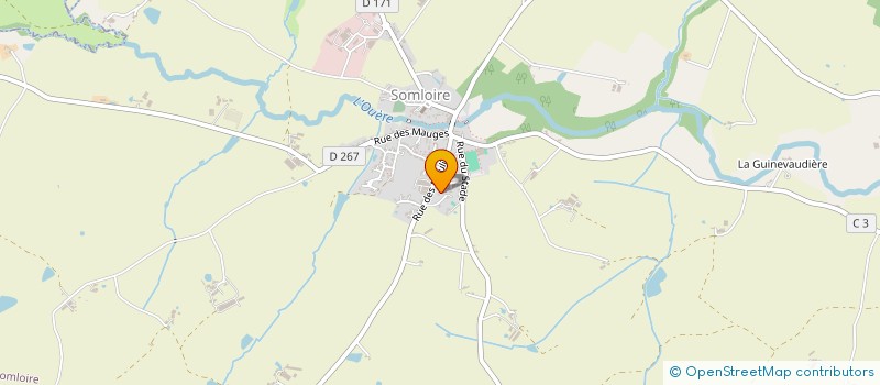 localisation de l'entreprise MADAME CAMILLE DEVINAS  SOMLOIRE