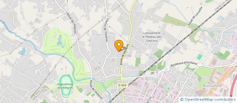 localisation de l'entreprise MADAME CAMILLE DORE  MONTAUBAN