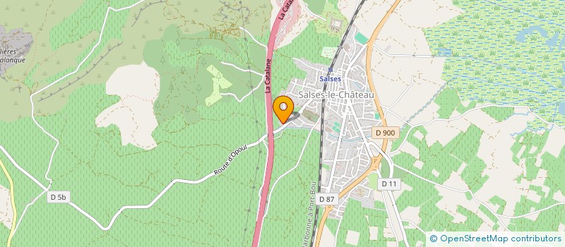 localisation de l'entreprise MADAME CAMILLE DORNE  SALSES-LE-CHATEAU