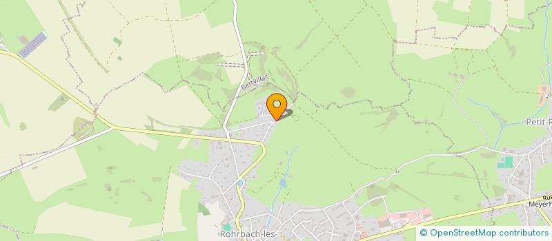 localisation de l'entreprise MADAME CAMILLE FABREGA  ROHRBACH-LES-BITCHE