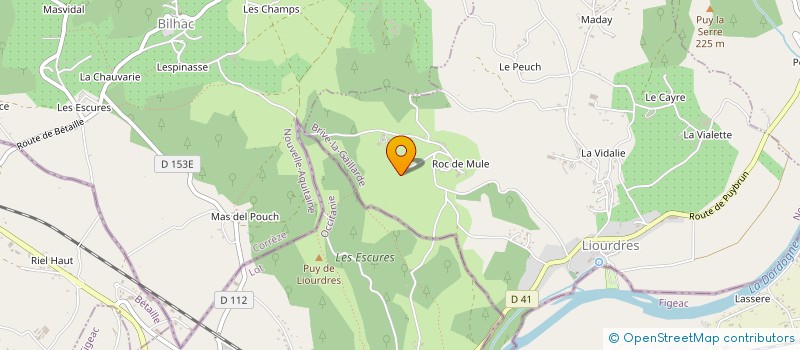 localisation de l'entreprise MADAME CAMILLE FAGES  LIOURDRES