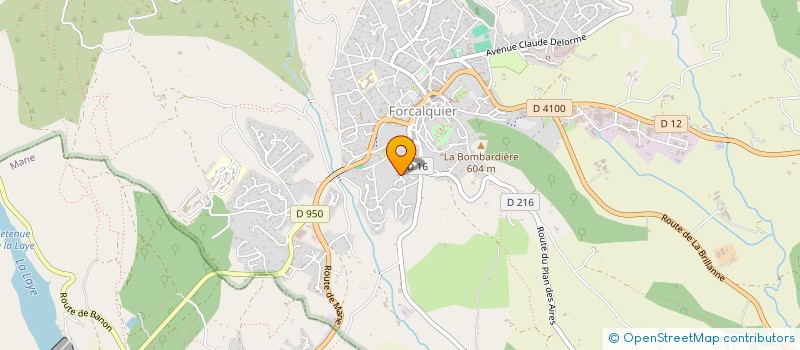 localisation de l'entreprise MADAME CAMILLE FELOUZIS à FORCALQUIER