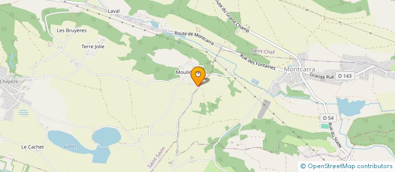 localisation de l'entreprise MADAME CAMILLE FLACHER  SAINT-SAVIN