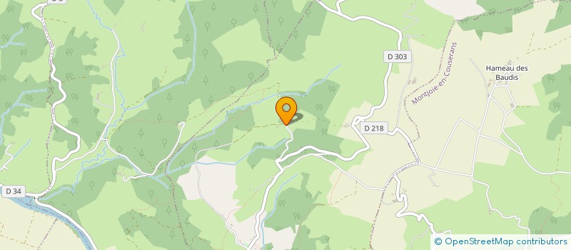 localisation de l'entreprise MADAME CAMILLE FRANZOI à SAINT-GIRONS