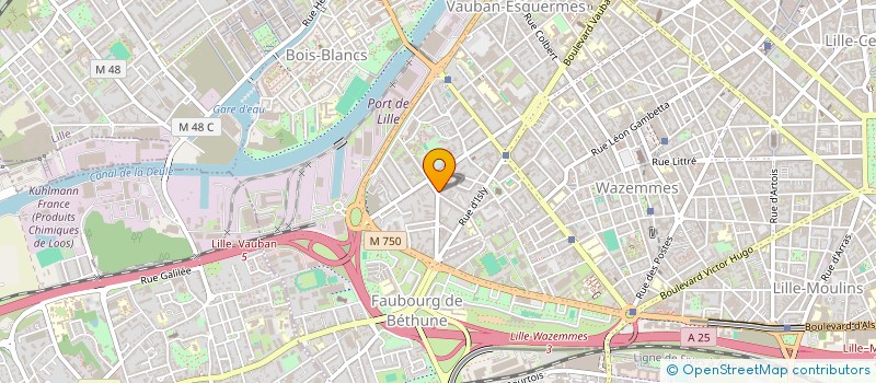 localisation de l'entreprise MADAME CAMILLE GAQUIERE à LILLE