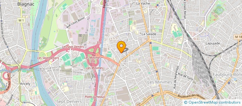 localisation de l'entreprise MADAME CAMILLE GOUIN  TOULOUSE